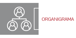 Organigrama
